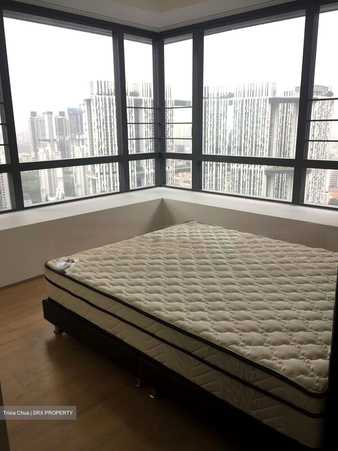 Skysuites@Anson (D2), Apartment #460545831